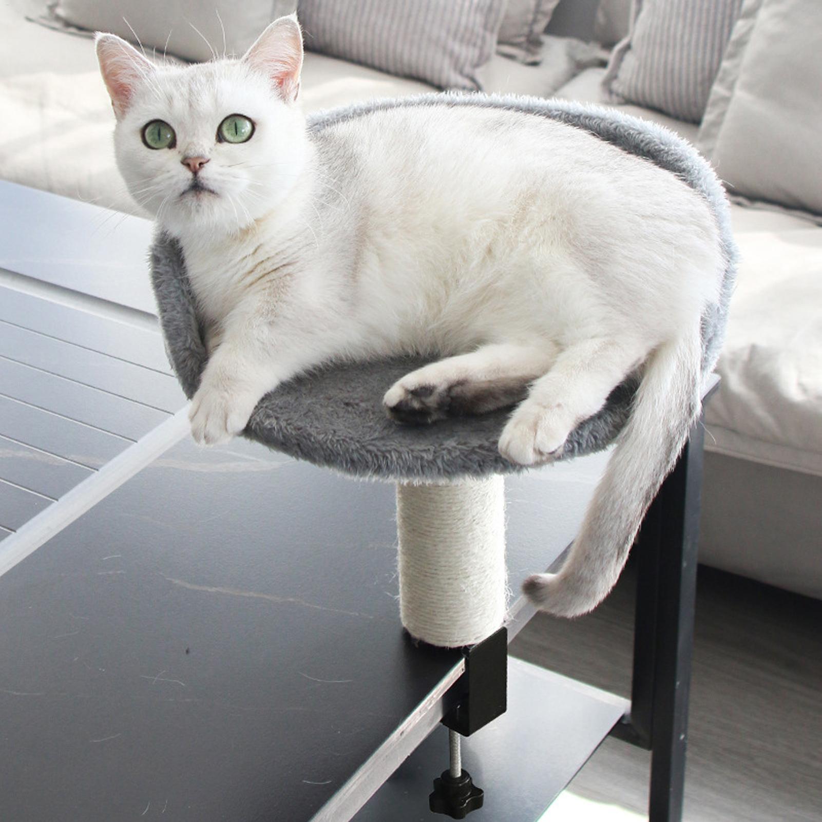 Verstelbare hangmat voor katte - Under Desk Hammock recensie en prijs
