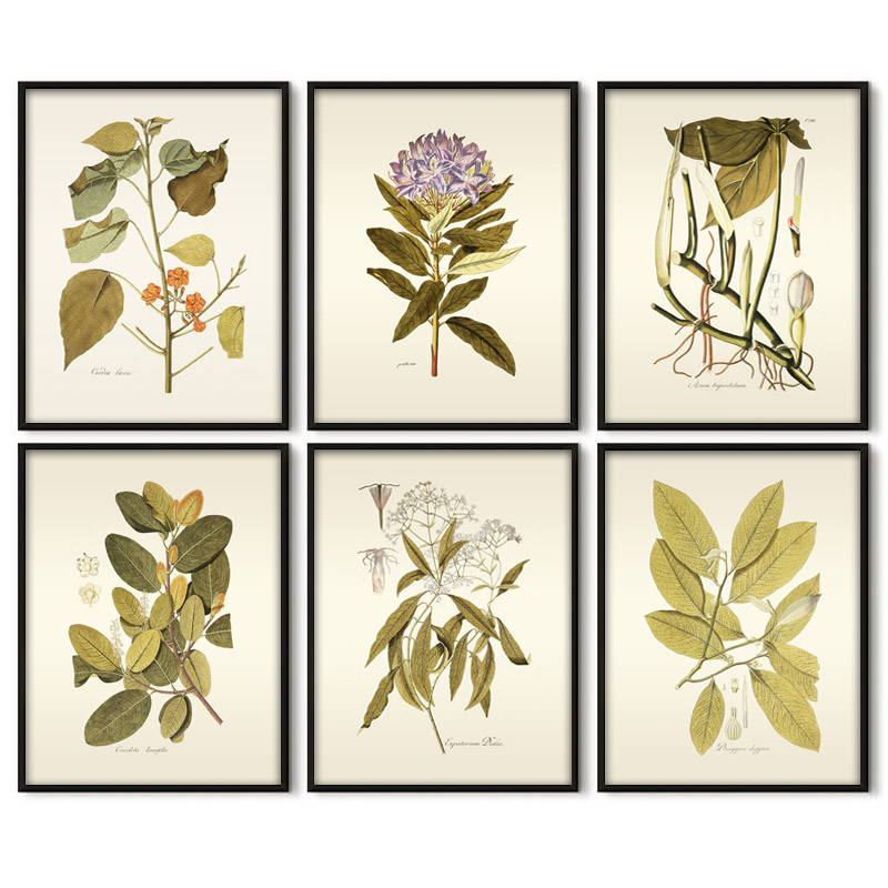 Kruidachtige Plant Wall Art Sc - Office Furniture York recensie en prijs