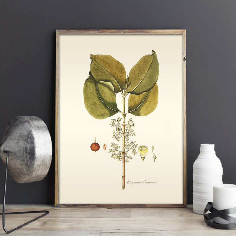 Kruidachtige Plant Wall Art Sc - Office Furniture York recensie en prijs